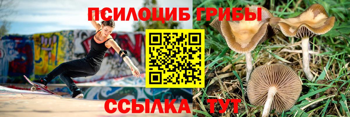 МЕФ   MDMA  Знаменск  Гашиш  Каннабис  Вход с VPN 