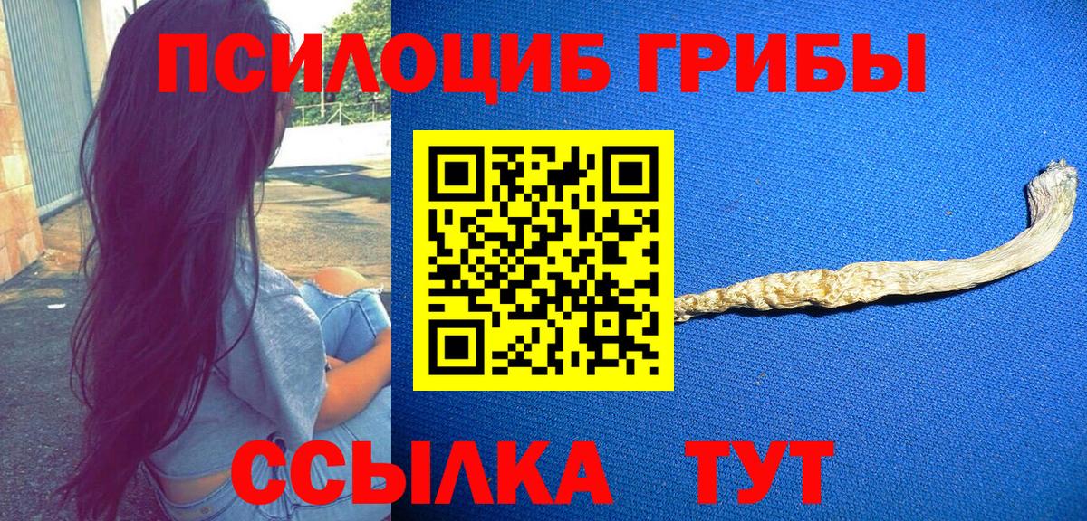 Галлюциногенные грибы прущие грибы  Вход с VPN  Знаменск 